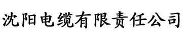 影音先锋每日AV色资源站电缆厂logo